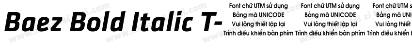 Baez Bold Italic T字体转换